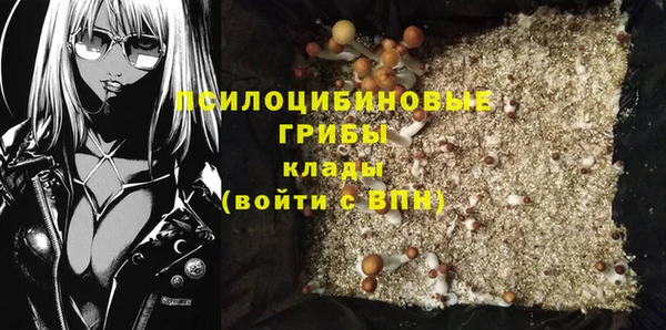 прущий лед Алексин